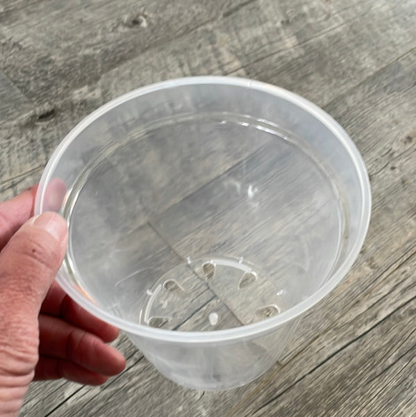 6" ultra clear round orchid pot