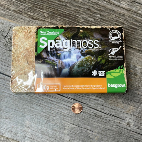 New Zealand Sphagnum Moss - Classic AA+ 100 grams
