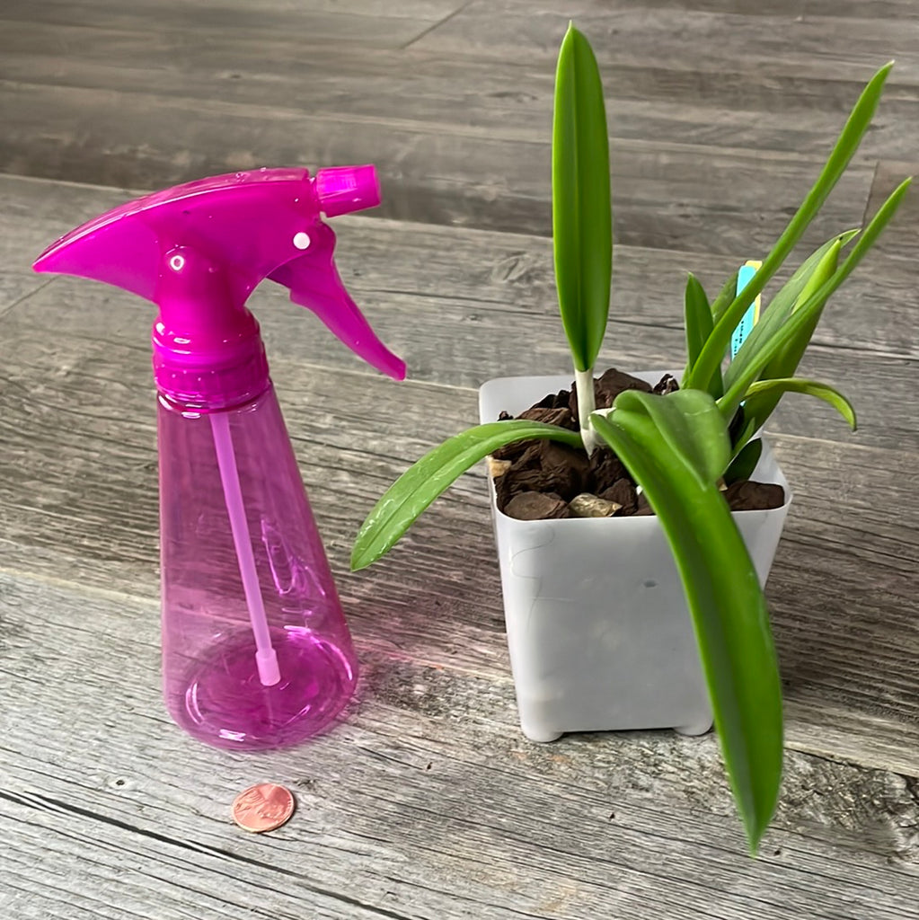 indoor plant water sprayer Orchid Spray Bottle Mister for adding humidity to indoor plants