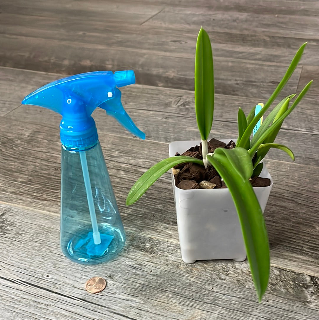 succulent spray bottle Orchid Spray Bottle Mister for adding humidity to indoor plants