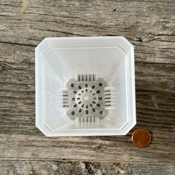 2.75" square clear seedling pot