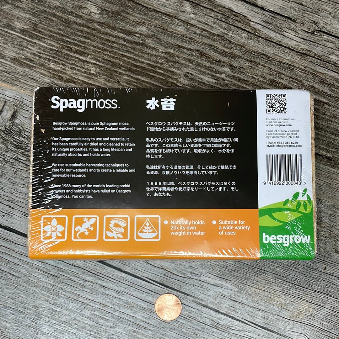 New Zealand Sphagnum Moss - Classic AA+ 100 grams – QuarterAcreOrchids