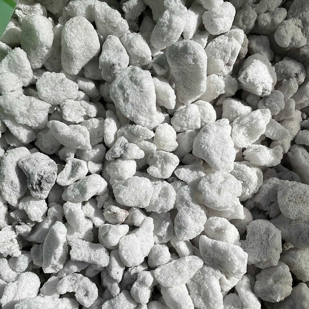 Sponge rock #8 (perlite) Extra Large – QuarterAcreOrchids