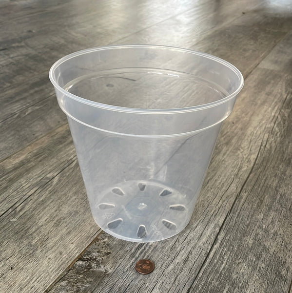 crystal clear 7 inch orchid pot