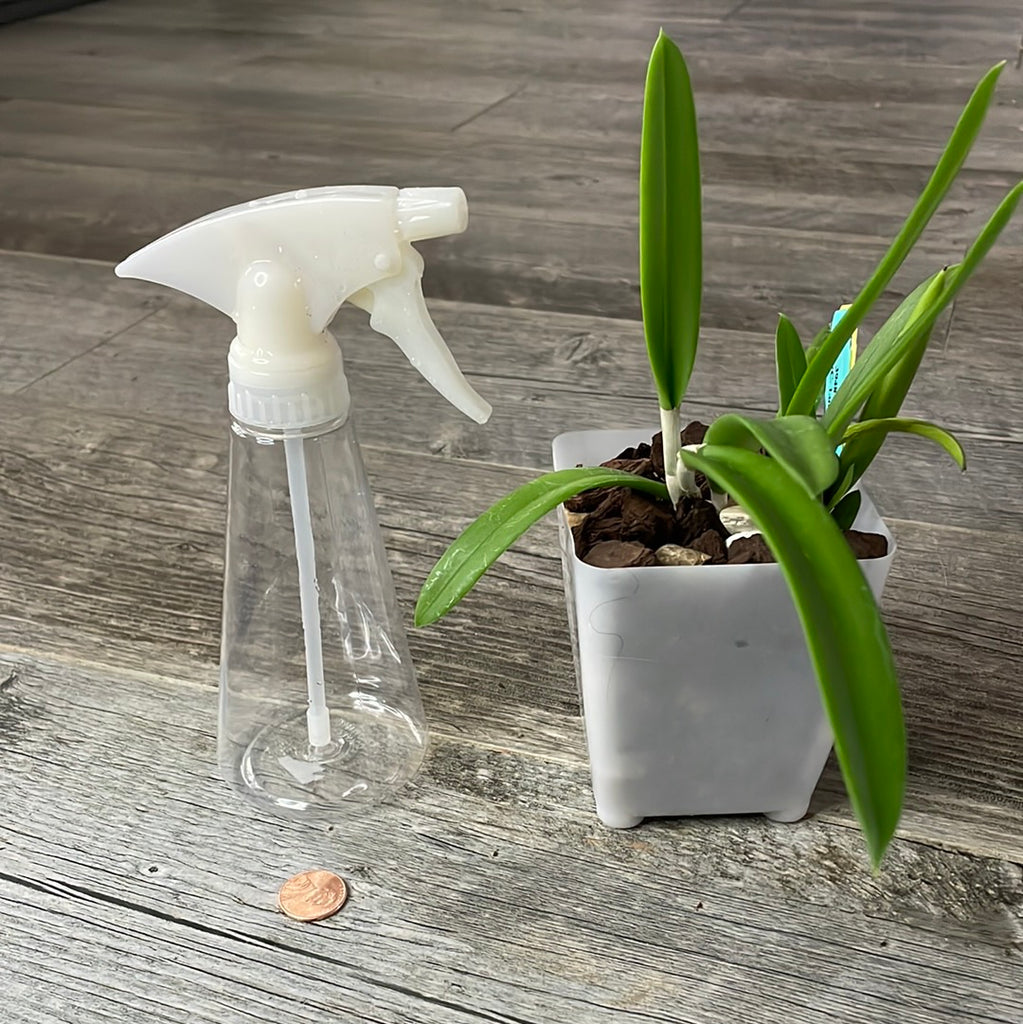 indoor plant spray bottle Orchid Spray Bottle Mister for adding humidity to indoor plants