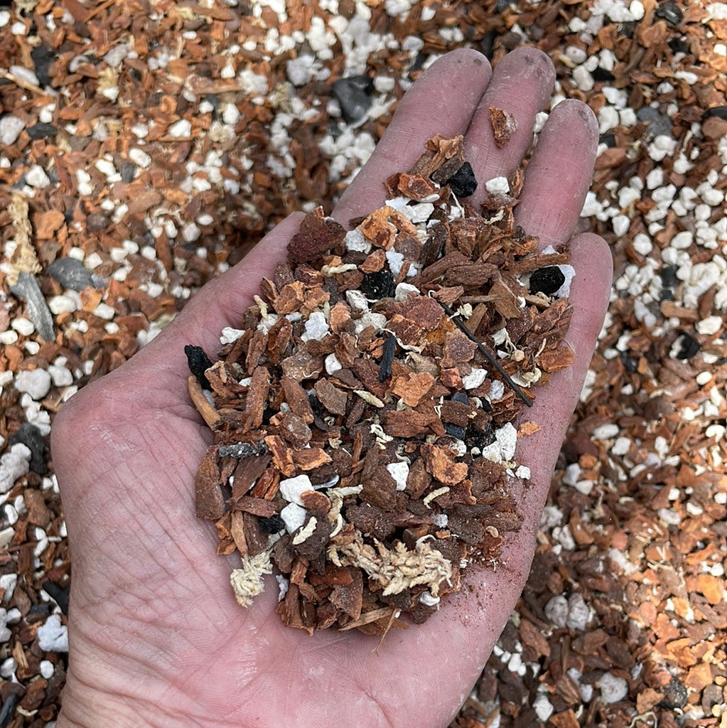 fir bark potting mix Paph & Phrag Fir Bark Orchid Mix – QuarterAcreOrchids
