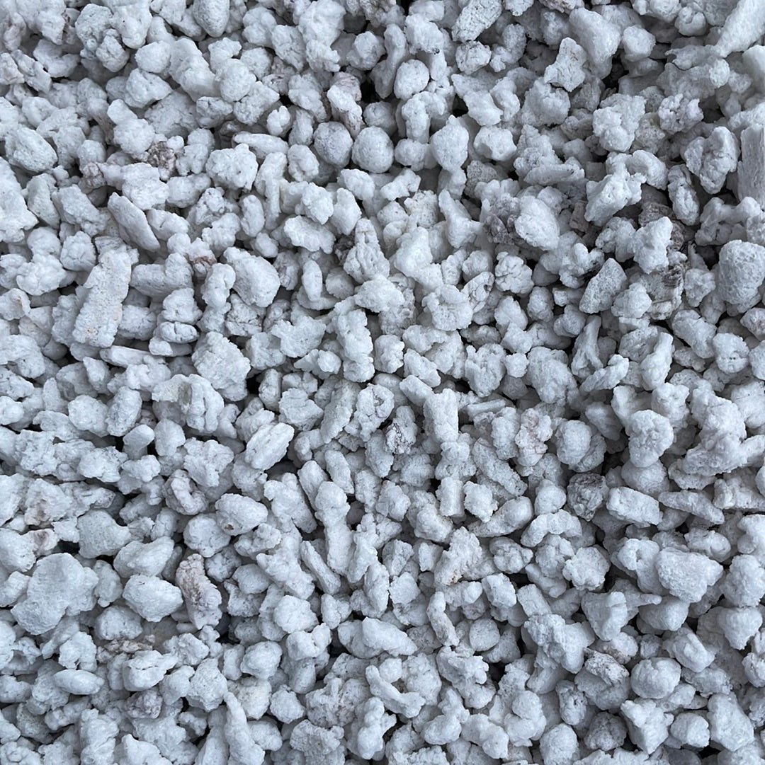 Sponge Rock #3 (perlite) – QuarterAcreOrchids