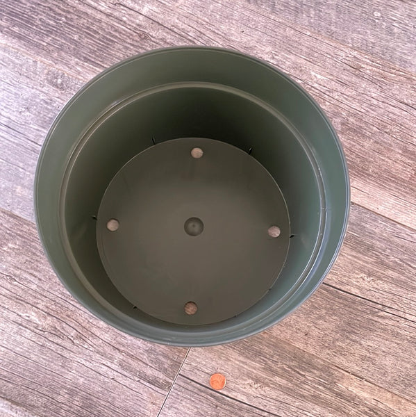 12 inch green plastic bulb pot showing four holes on the bottom