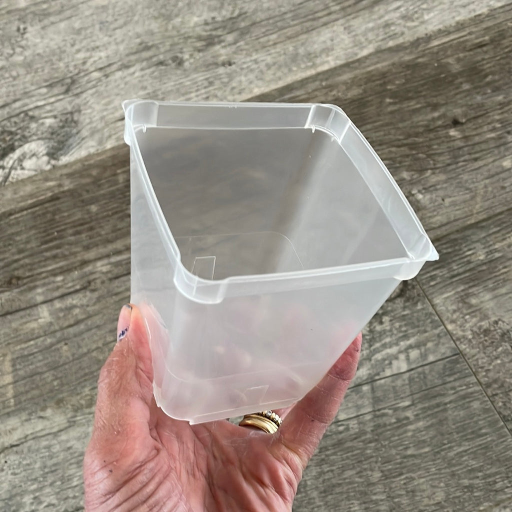 where to buy clear plant pots 3.5" clear square orchid pot – QuarterAcreOrchids