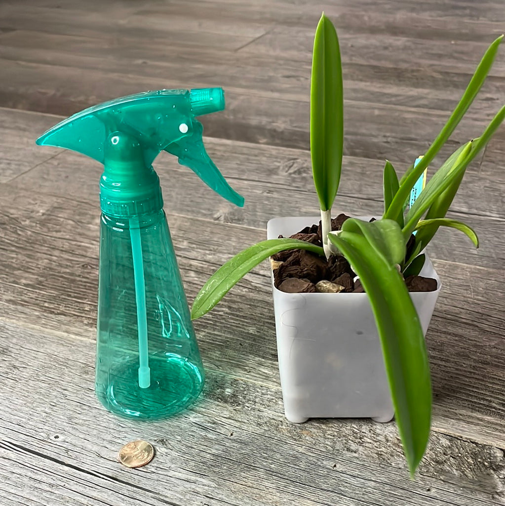 indoor plant water sprayer Orchid Spray Bottle Mister for adding humidity to indoor plants