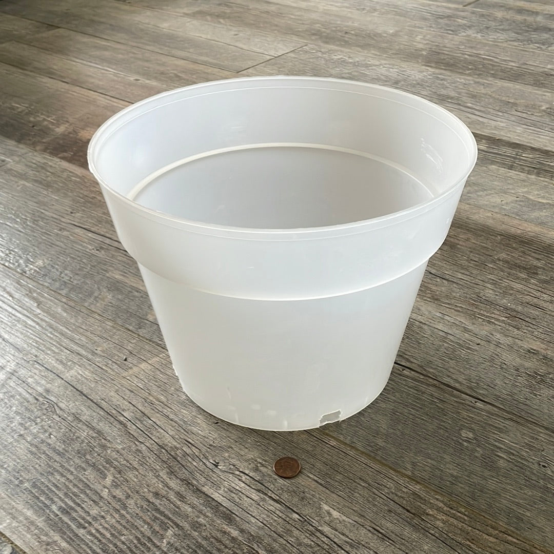 10" clear nursery pot for orchids