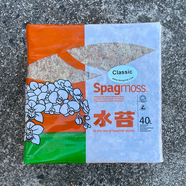 New Zealand Sphagnum Moss - Classic AA+ 500 grams