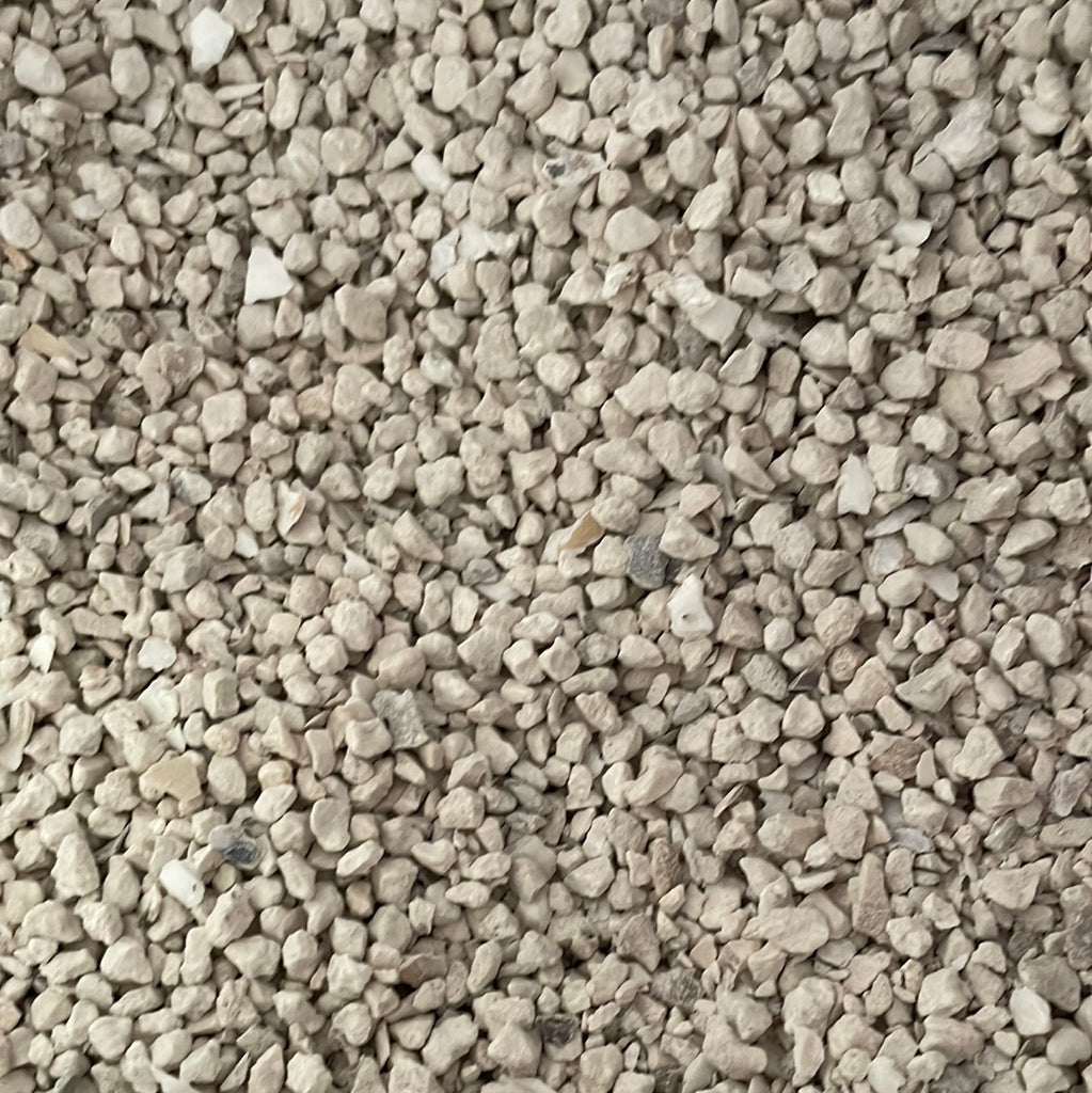 oyster shell for succulents Oyster shell calcium top dressing for orchids – QuarterAcreOrchids