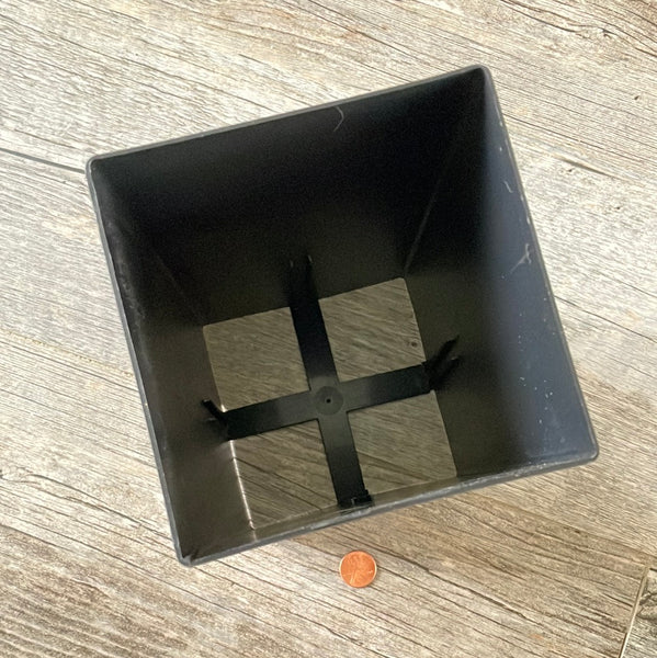 5" x 8" square Anderson Band pot