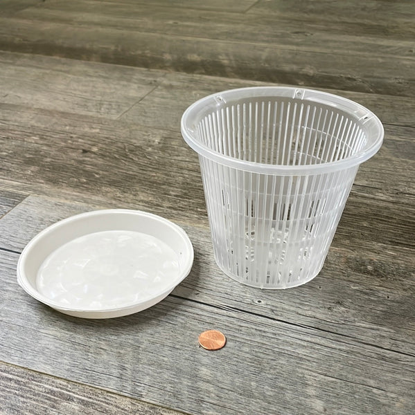 5.5" clear round mesh orchid pot